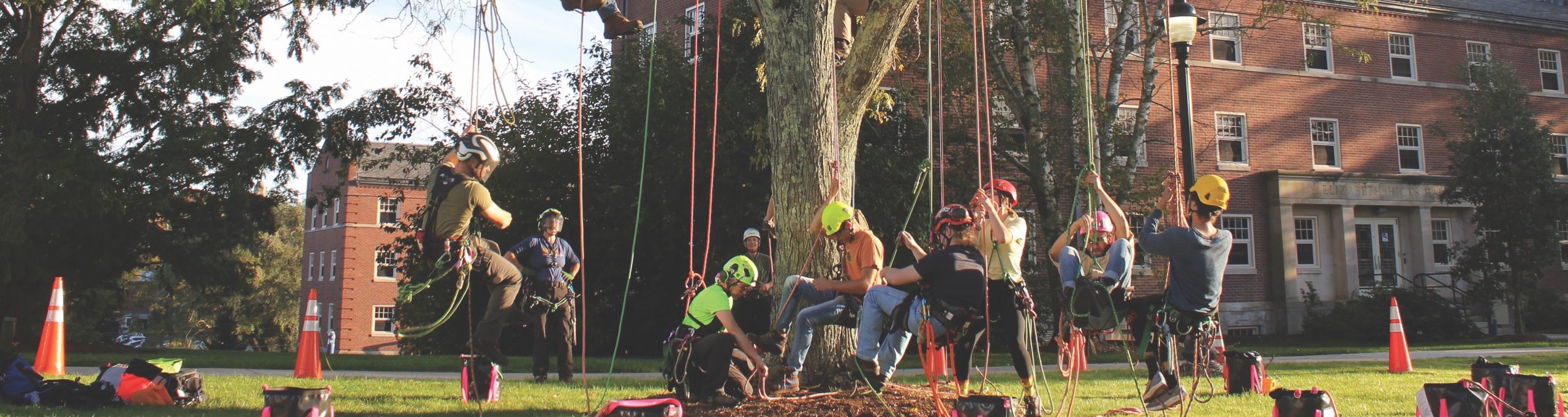 Students learn to use ropes to climb trees as part of the Fundamentals of Arboriculture class taught by James Kehoe of the Department of Natural Resources and the Environment in the College of Agriculture, Health and Natural Resources. Oct. 12, 2021. (Kevin Noonan/UConn Photo)